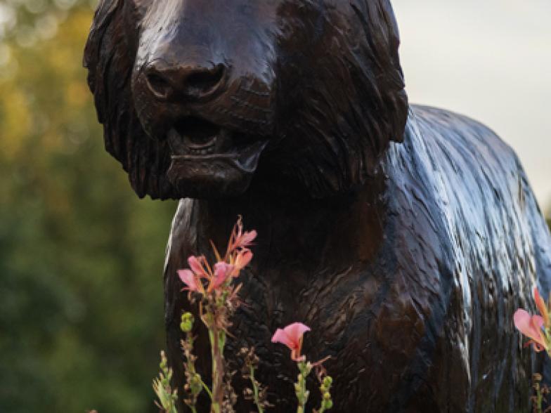 Tiger Statue in Tiger Plaza on Carnahan Quadrangle.